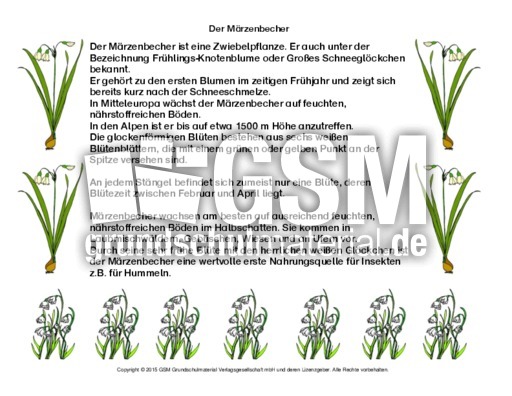Abschreibtext-Märzenbecher.pdf